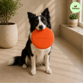 Frisbee do Aportowania