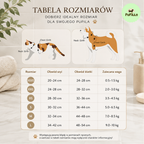 Odblaskowe Szelki